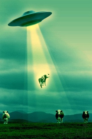 村上春树:关于UFO的思考
