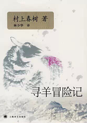 每一个女孩都带有漂亮的抽屉