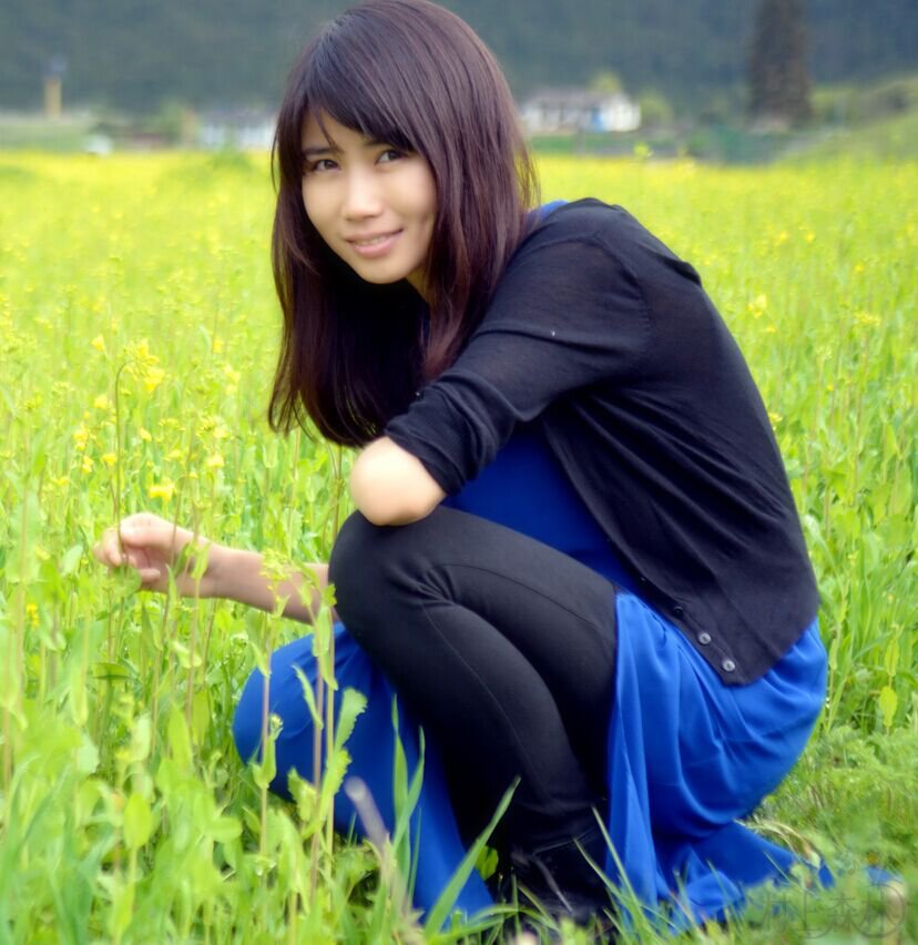 抓住那只卖萌的村上春树